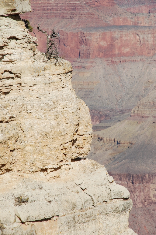 DSC_1753.JPG